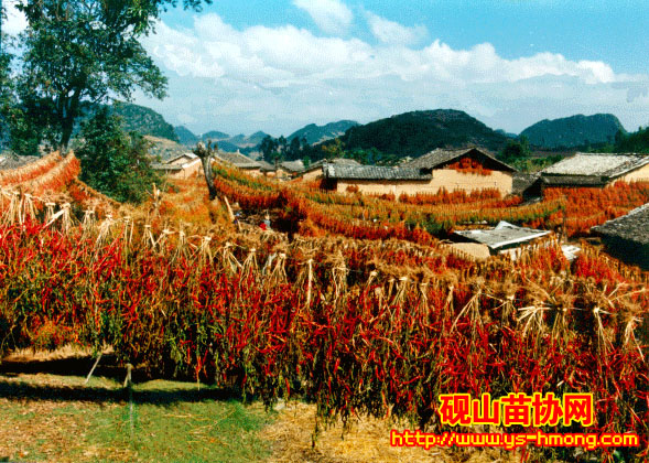 ���⣺�߽�������������adminʱ�䣺2009-05-26 20:13:23���������1060
